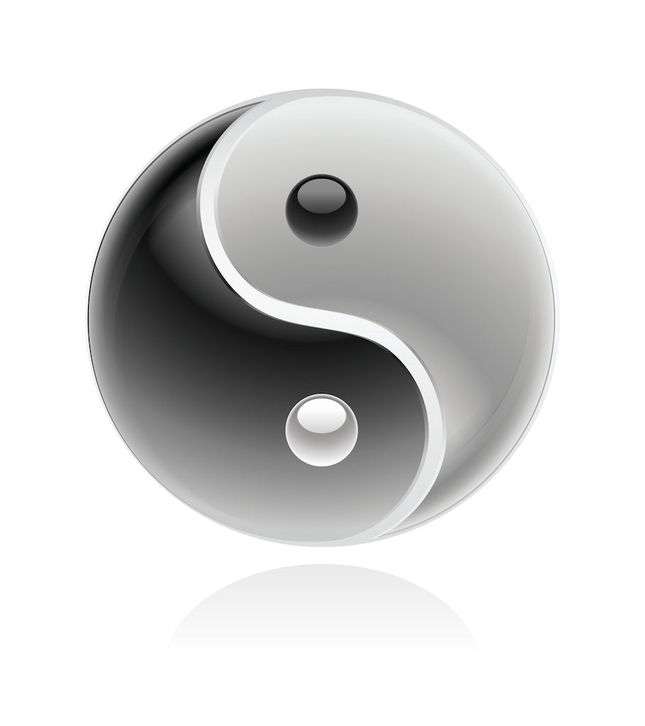 The Yin and Yang of Business Finance: Navigating Accounts Payable and Receivable